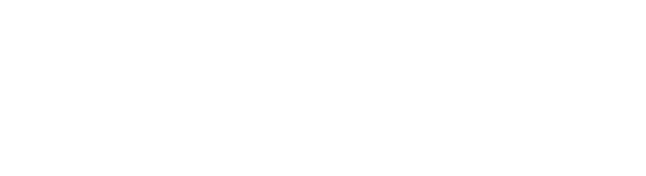 Visionex